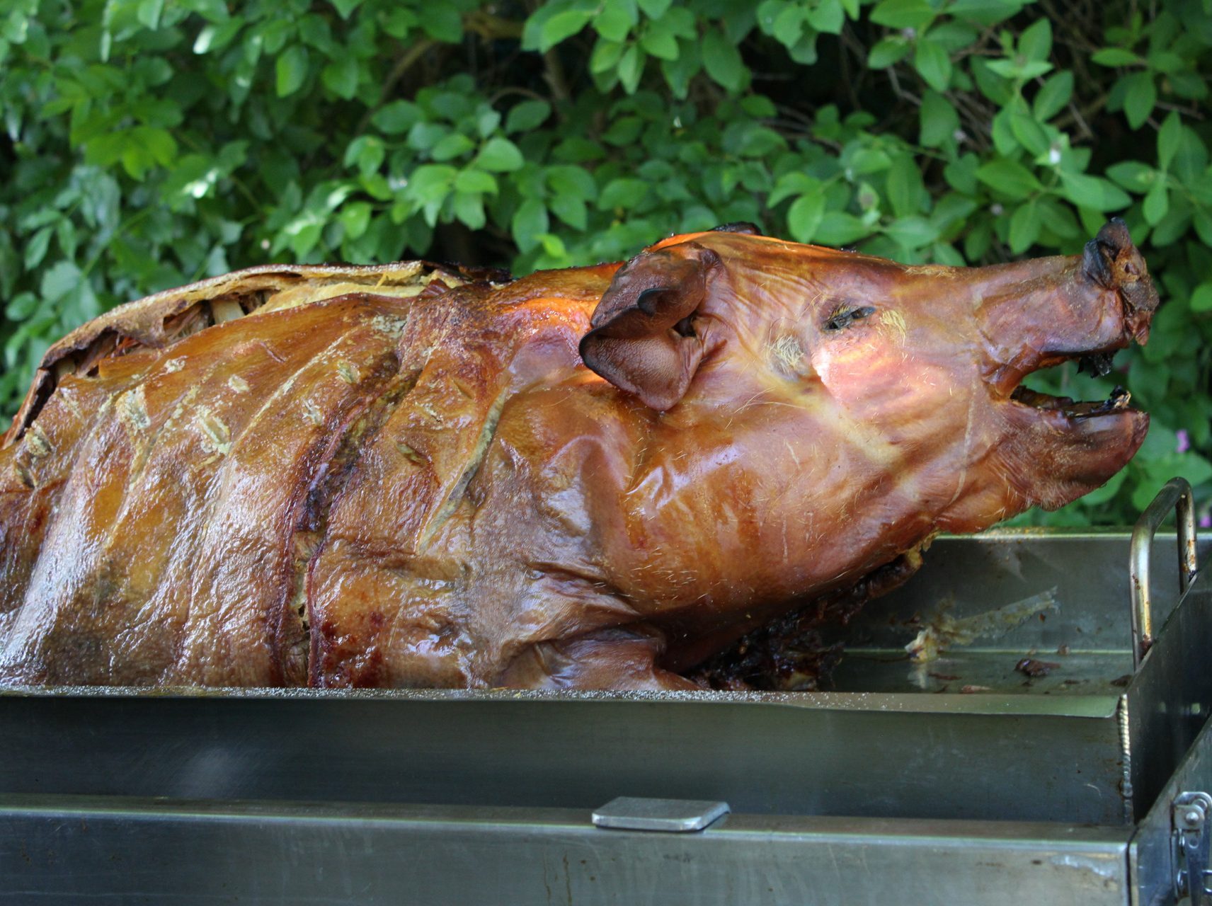 hog roast catering