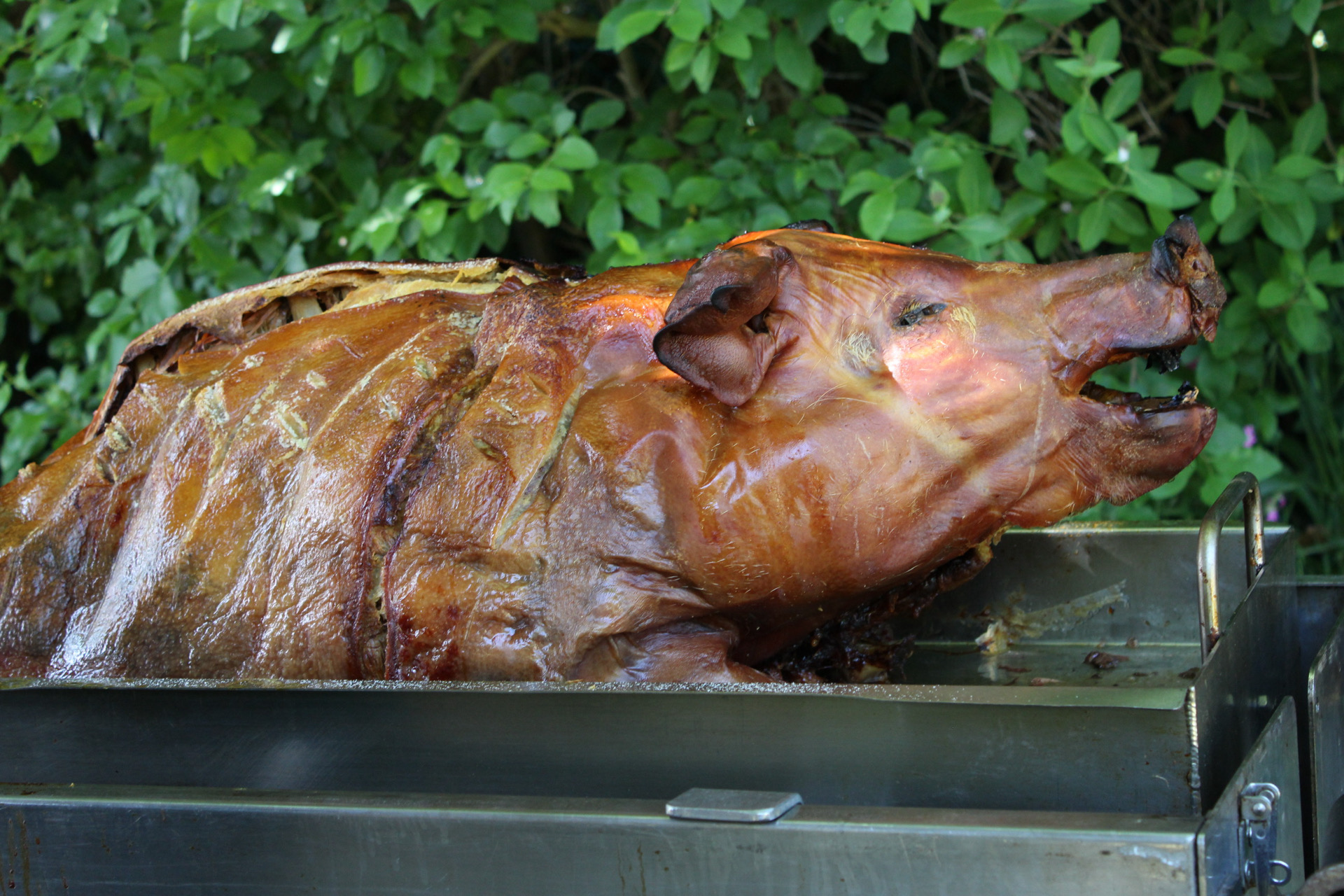 hog roast catering